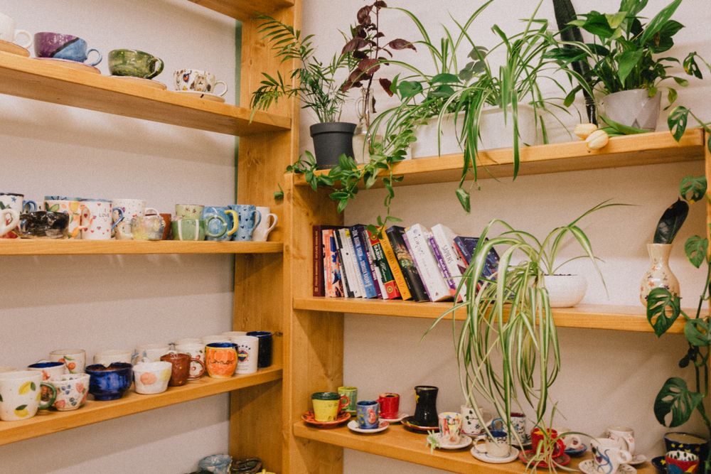 鉢と植物を合わせたディスプレイ