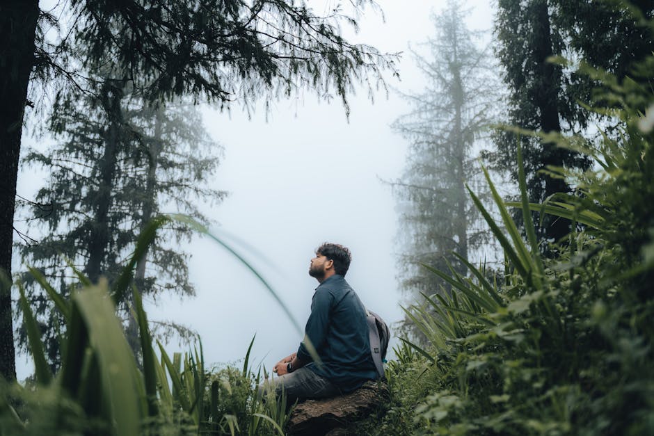 Find Enlightenment Through Introspection and Meditation