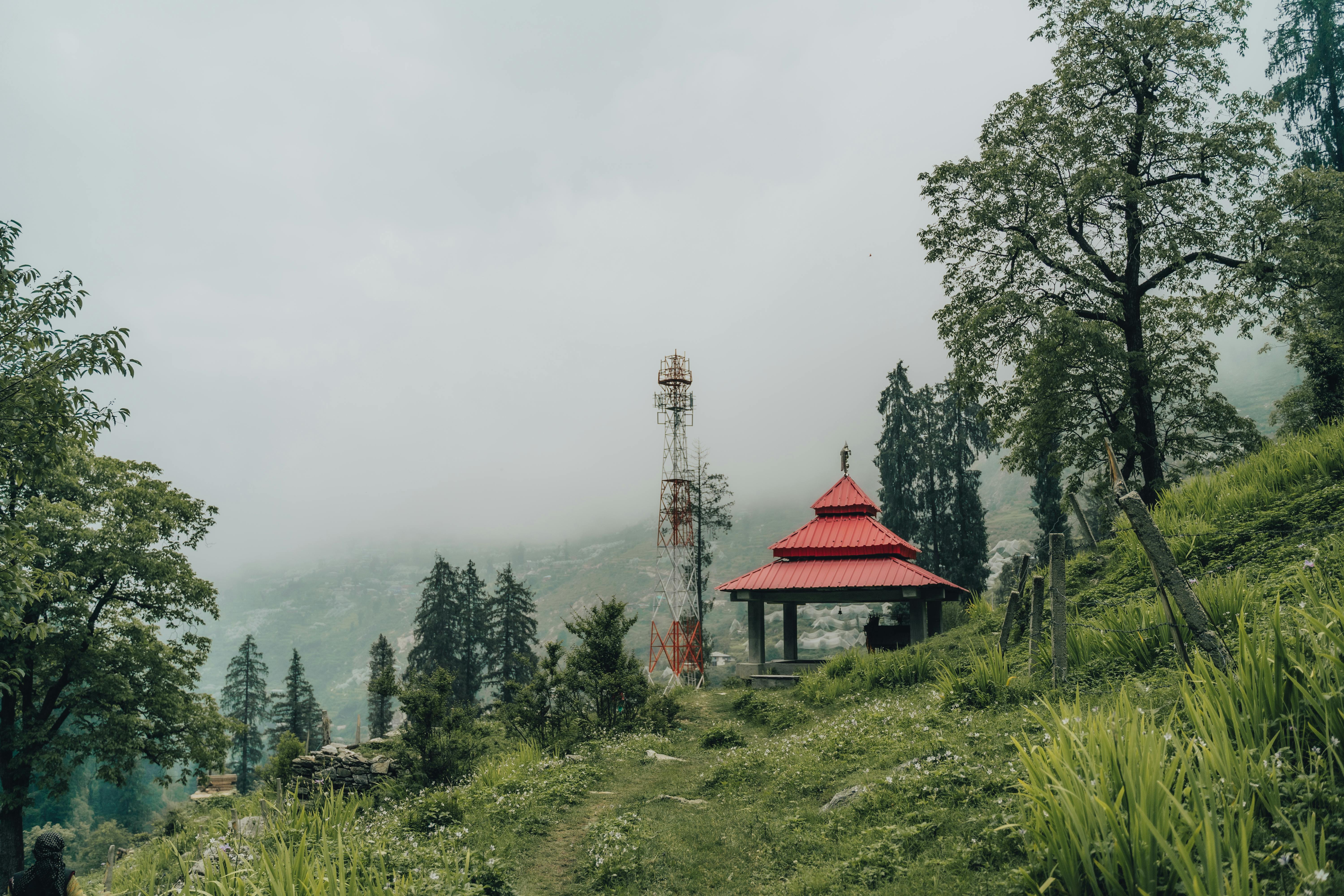 shrine and antenna on hill in forest