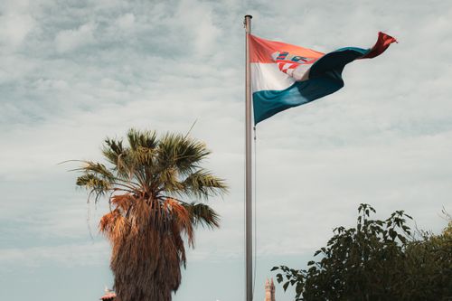 Free Croatian flag waving beside a palm tree under a bright summer sky. Stock Photo