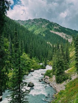 A serene mountain river flowing through a lush forest in Kyrgyzstan, ideal for nature travel.