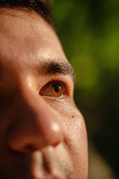 Free Warm portrait highlighting a man's eye and face in natural light. Stock Photo