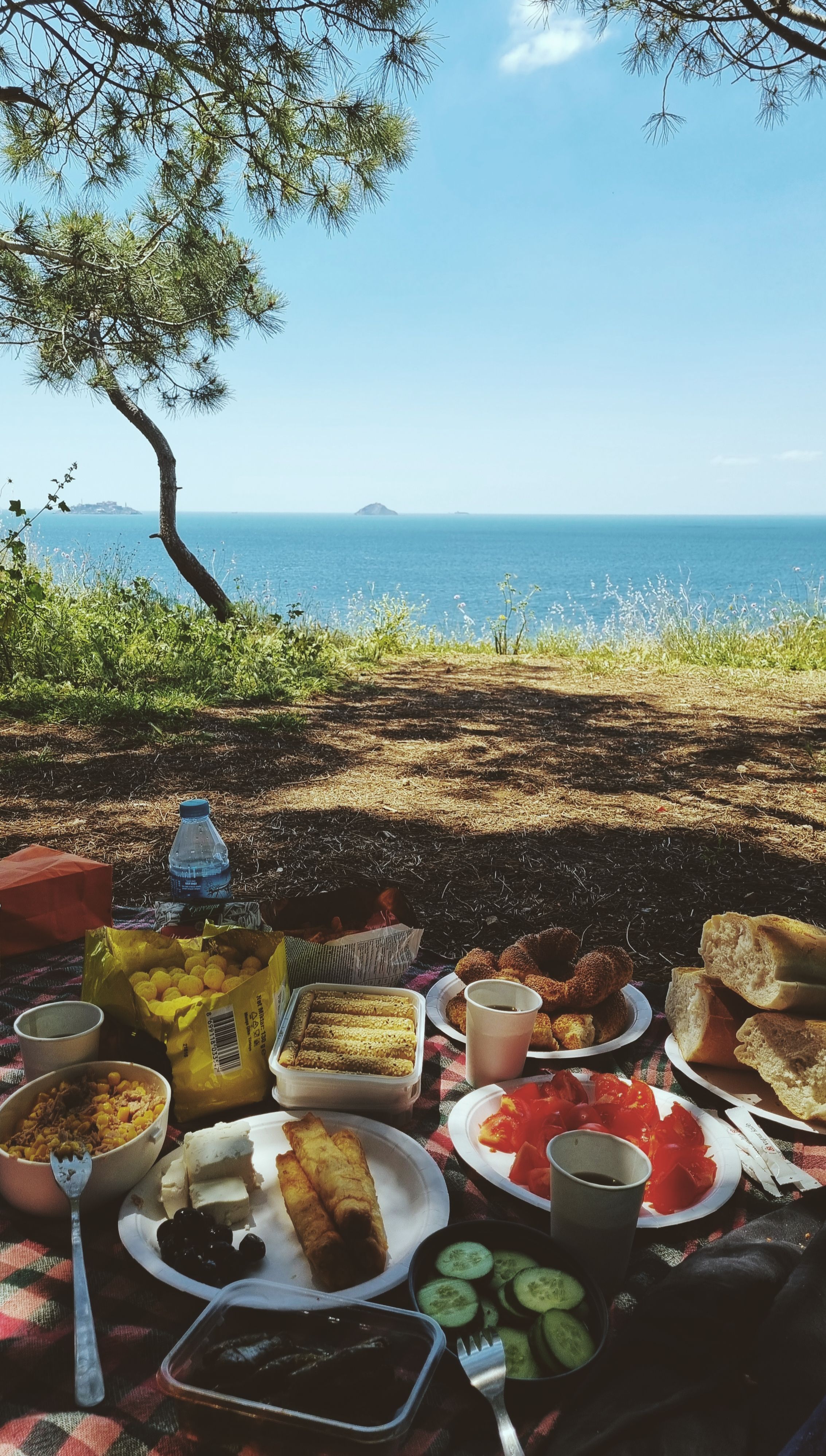 Enjoy a delightful picnic with a sea view on Burgazadası, İstanbul. Perfect summer relaxation.