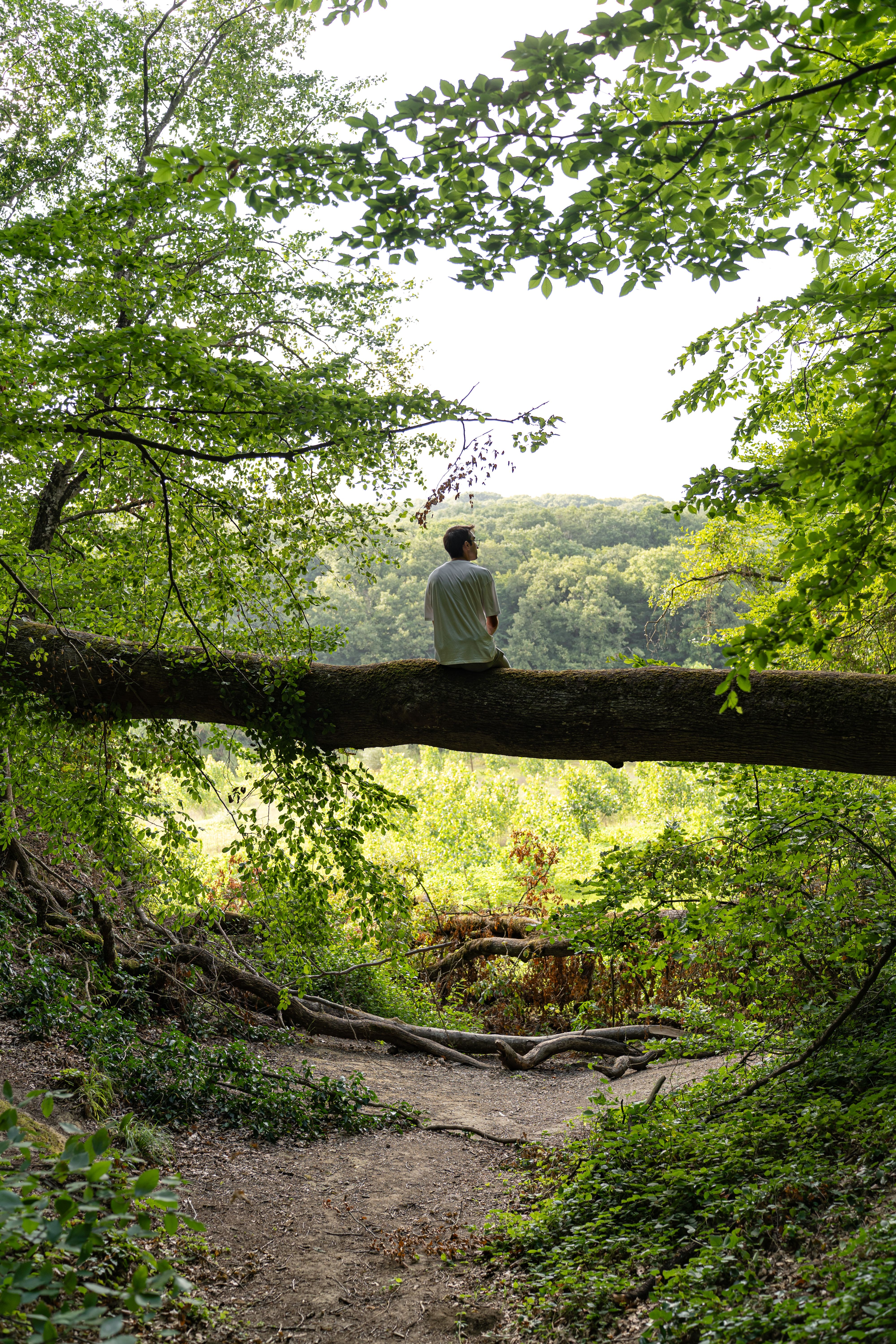 Man Relaxing in Forest · Free Stock Photo