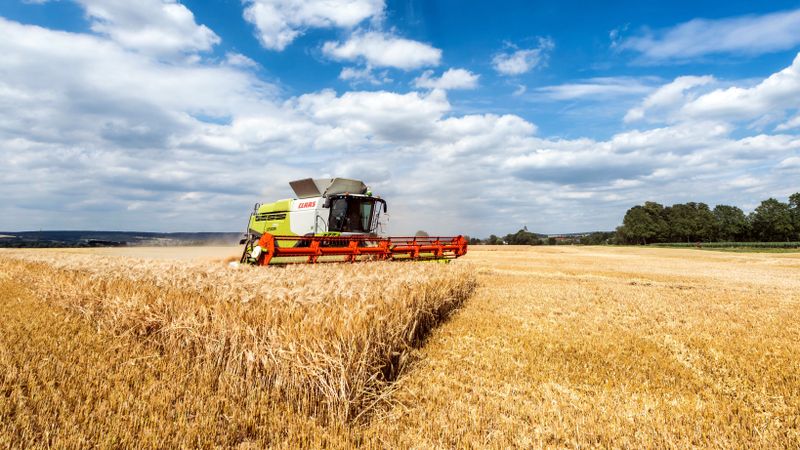 Mähdrescher Weizenfeld Ernte Paderborn