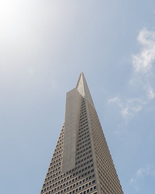 Low-Angle Photo of High-Rise Building