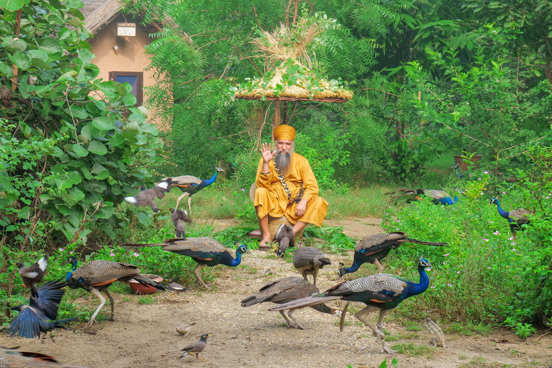 Monsoon Luxury in Punjab: Rainy Season Stays and Activities