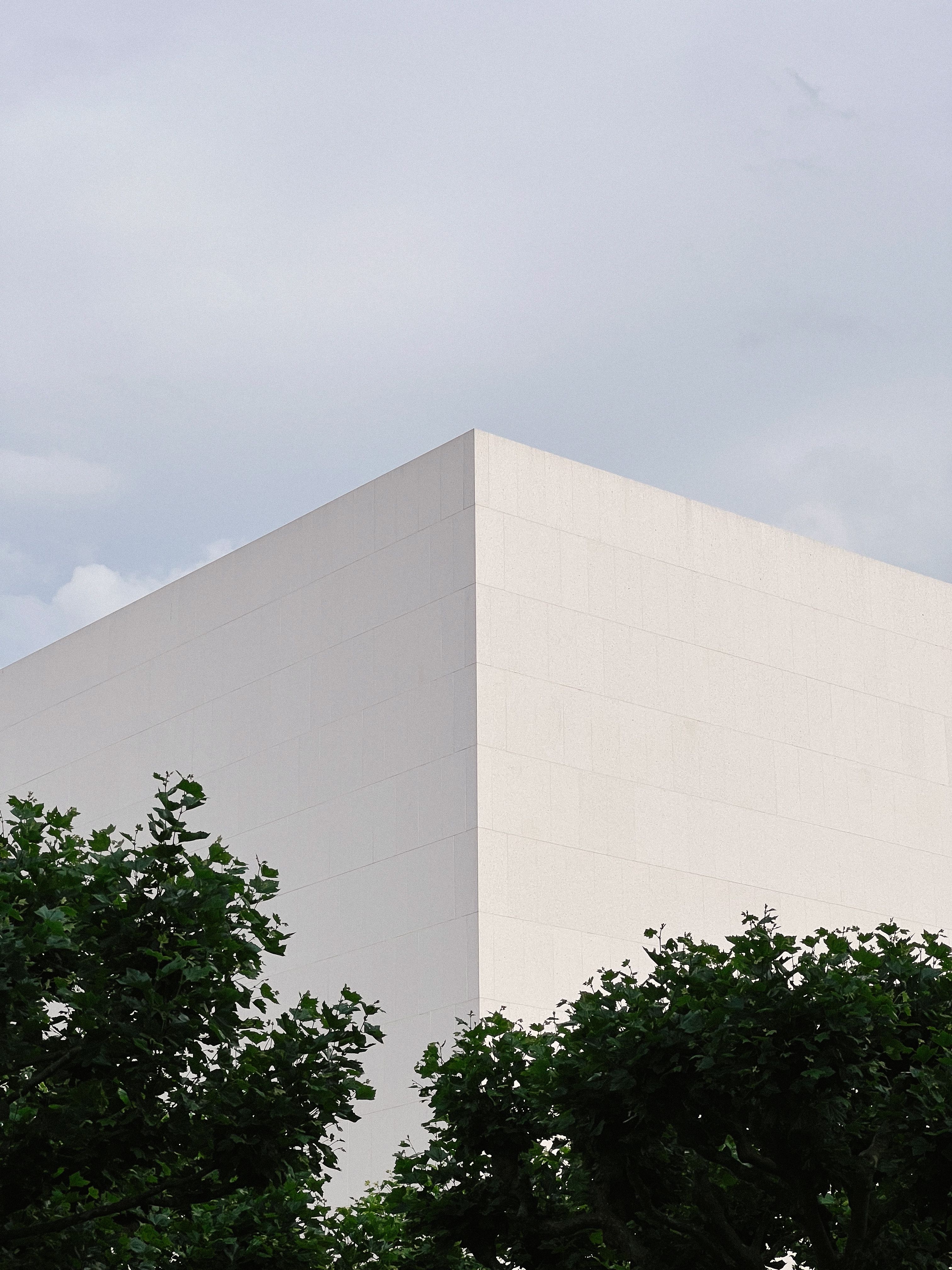 A white building with trees in front of it · Free Stock Photo