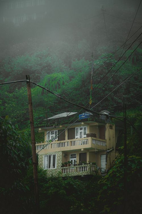 Free Quaint house nestled in a foggy mountain landscape, surrounded by dense green foliage. Stock Photo
