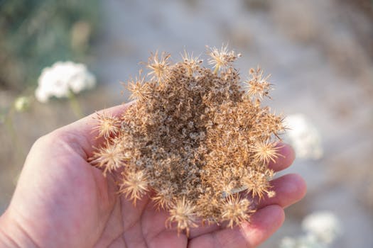 Image by Doğan Alpaslan  Demir