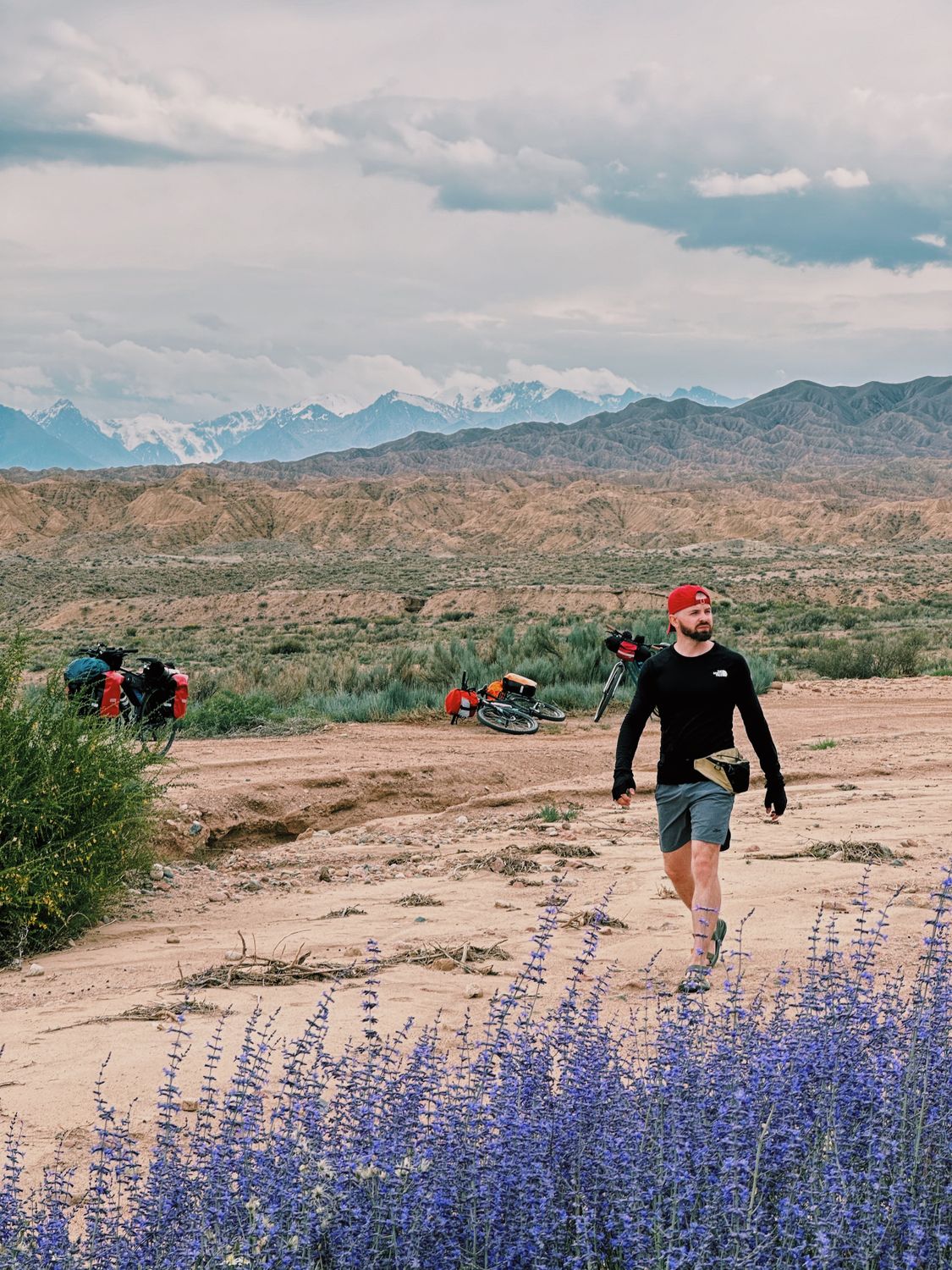 Close-up of bikepacking bags mounted to a bicycle in an outdoor adventure setting