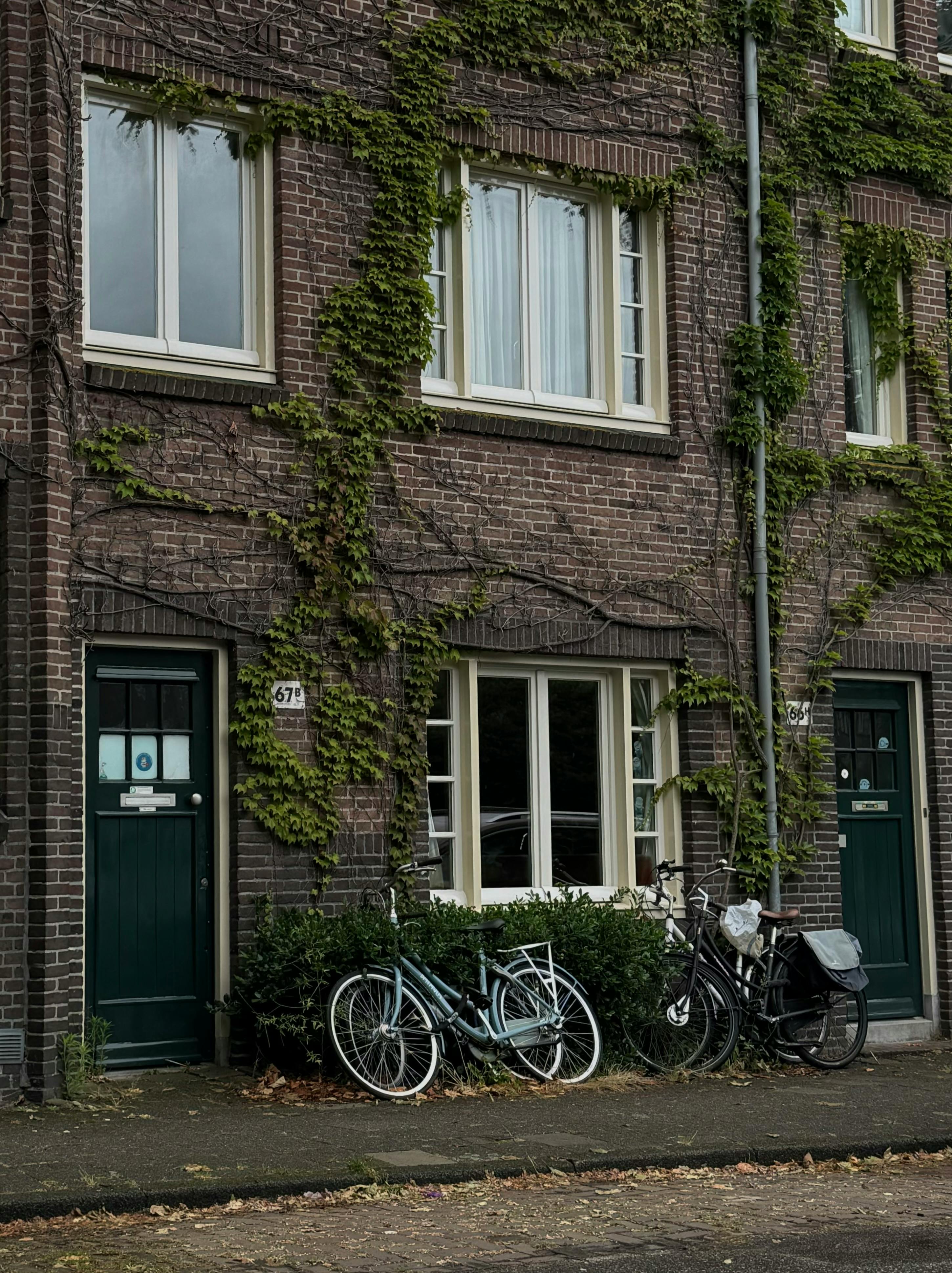 Brick facade of an Amsterdam house with bicycles and climbing plants, capturing urban charm.
