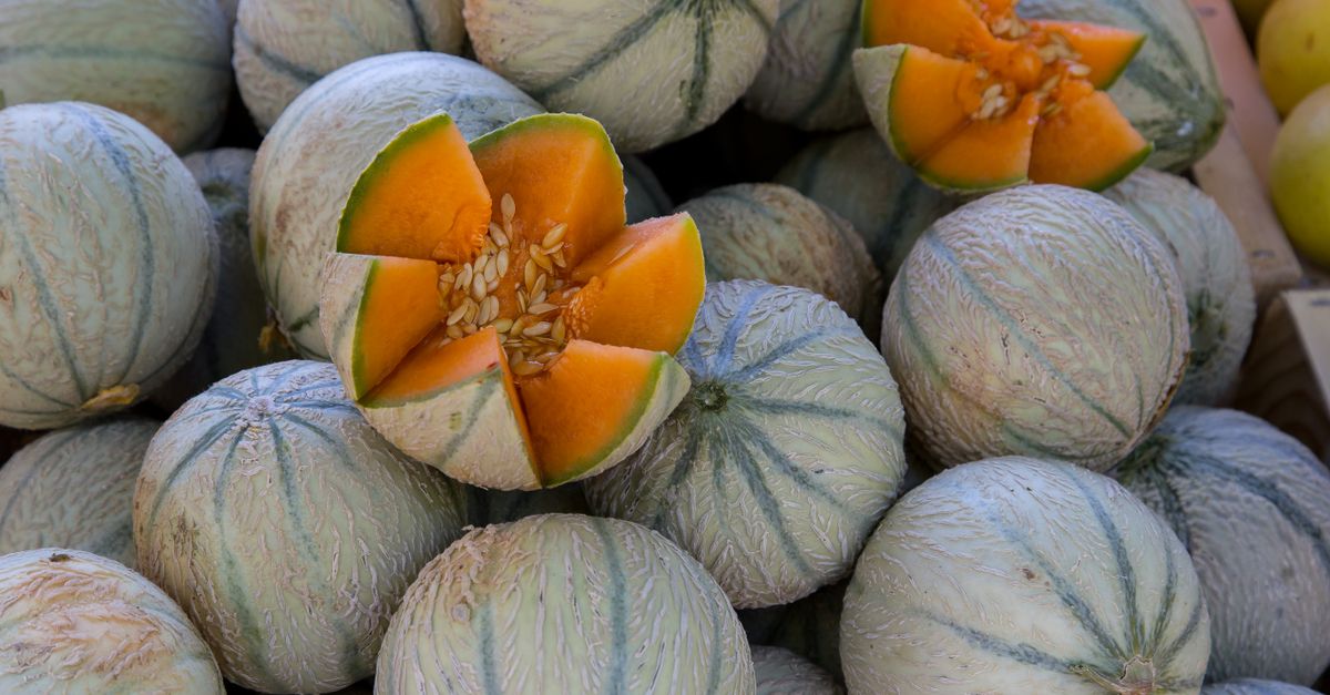 ¿Qué productos agrícolas de Honduras son clave en su economía y gastronomía? ¿Qué productos agrícolas de Honduras son clave en su economía y gastronomía?