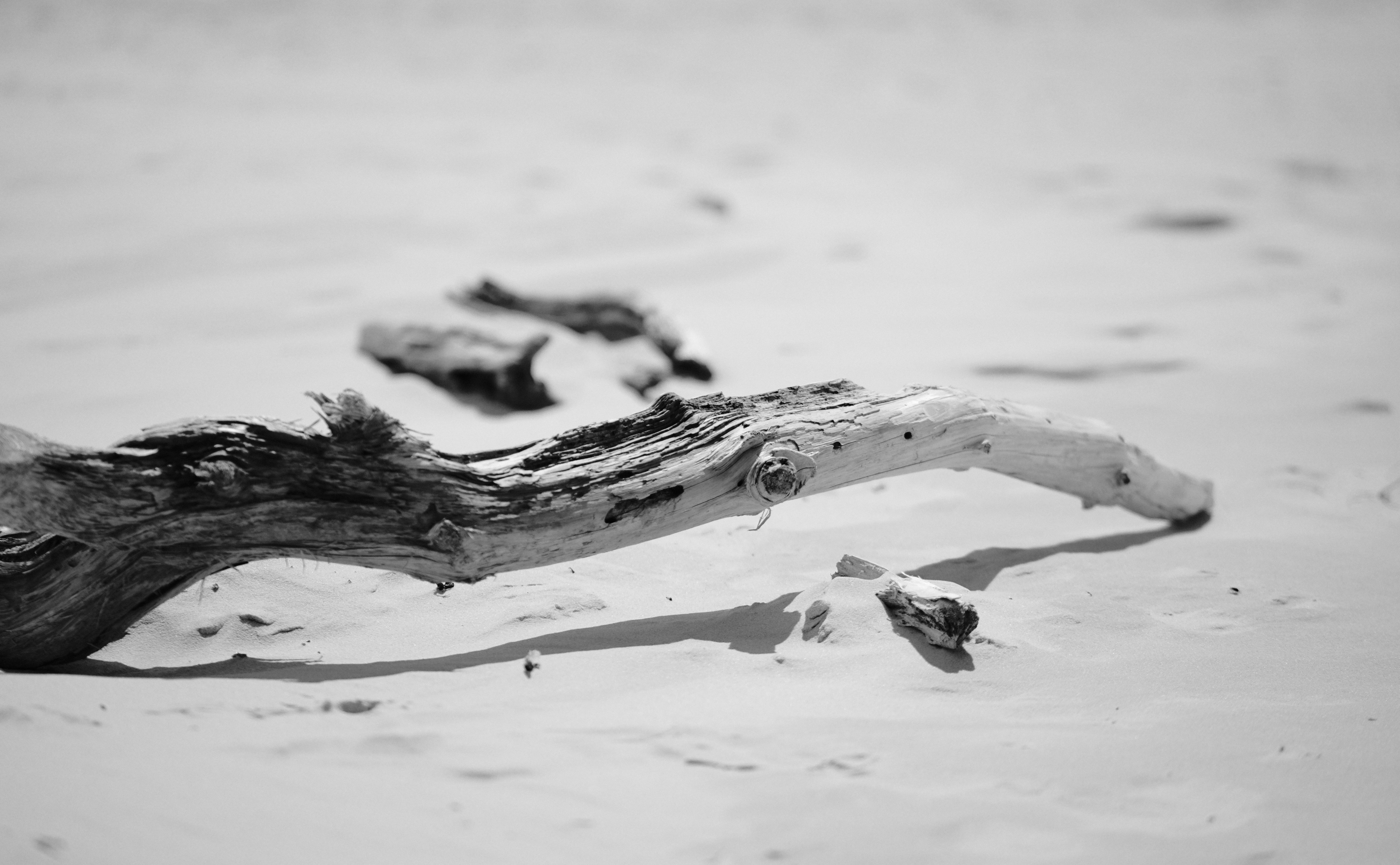 sand grains beach