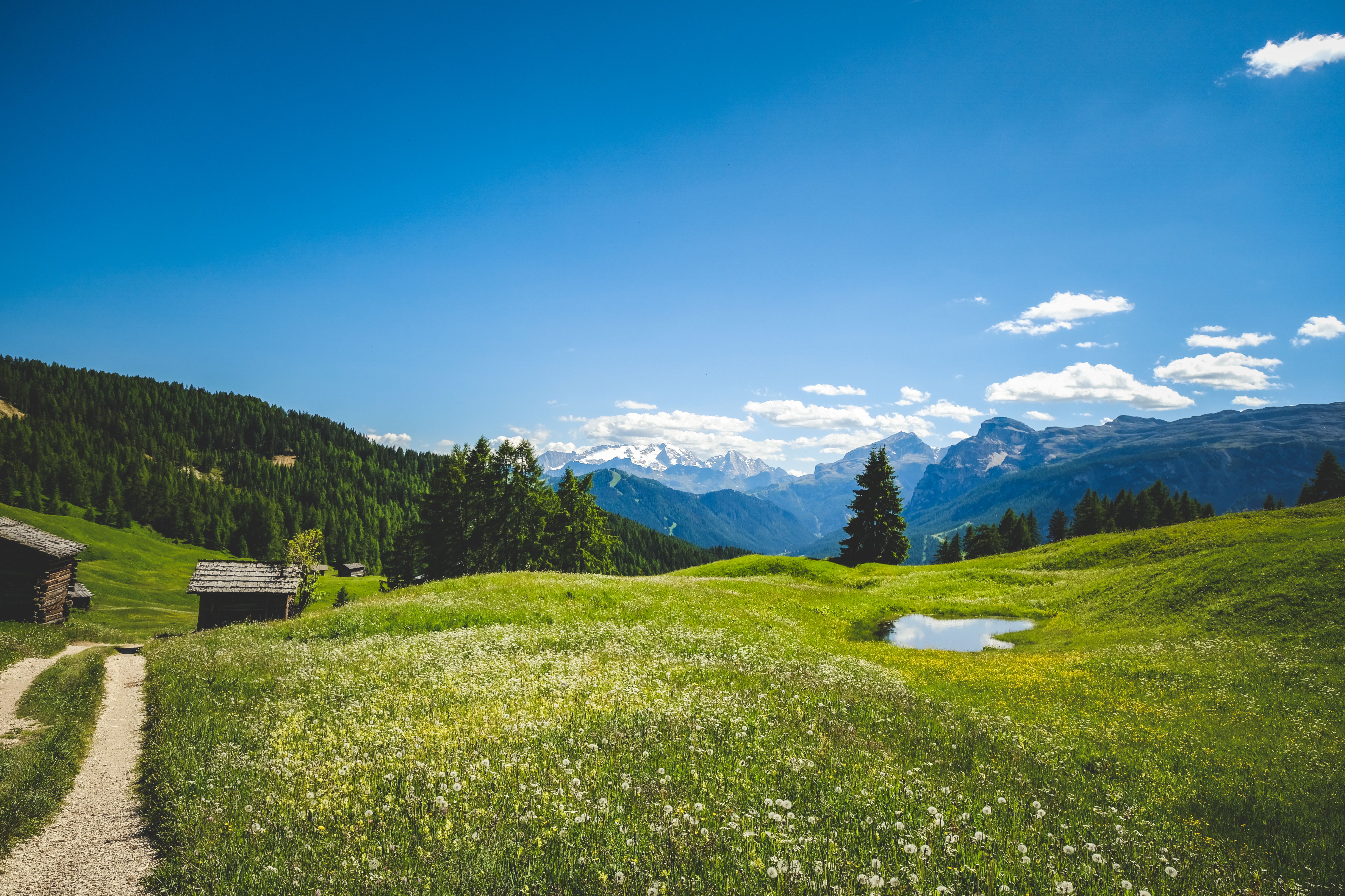 Schmaler Pfad durch alpine Landschaft