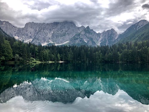 Фотография озера с отражениями деревьев и горы