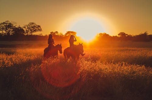 Free Silhouette Photo of Two Persons Riding Horses Stock Photo