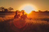 日出时分，两个人在金色的田野里骑马，身影如剪影般映衬