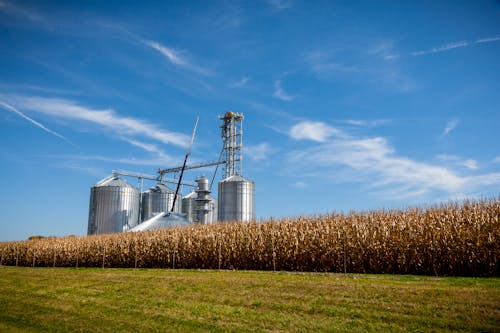 Grain Bins and a Field of Wheat 
