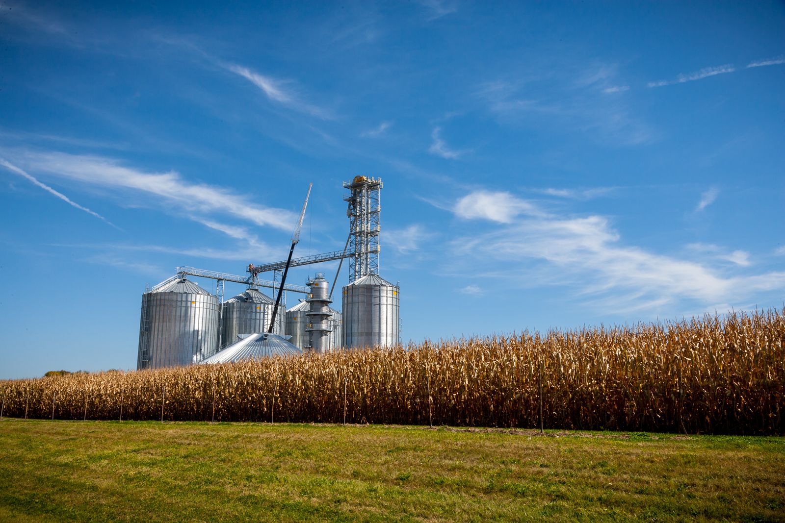 Grains & Cereals