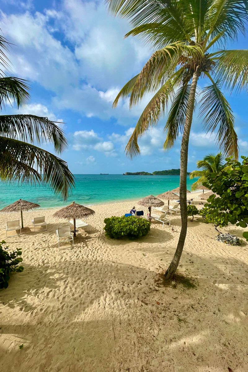 Palm trees and turquoise waters on a sandy beach in Antigua, perfect for a tropical getaway.
