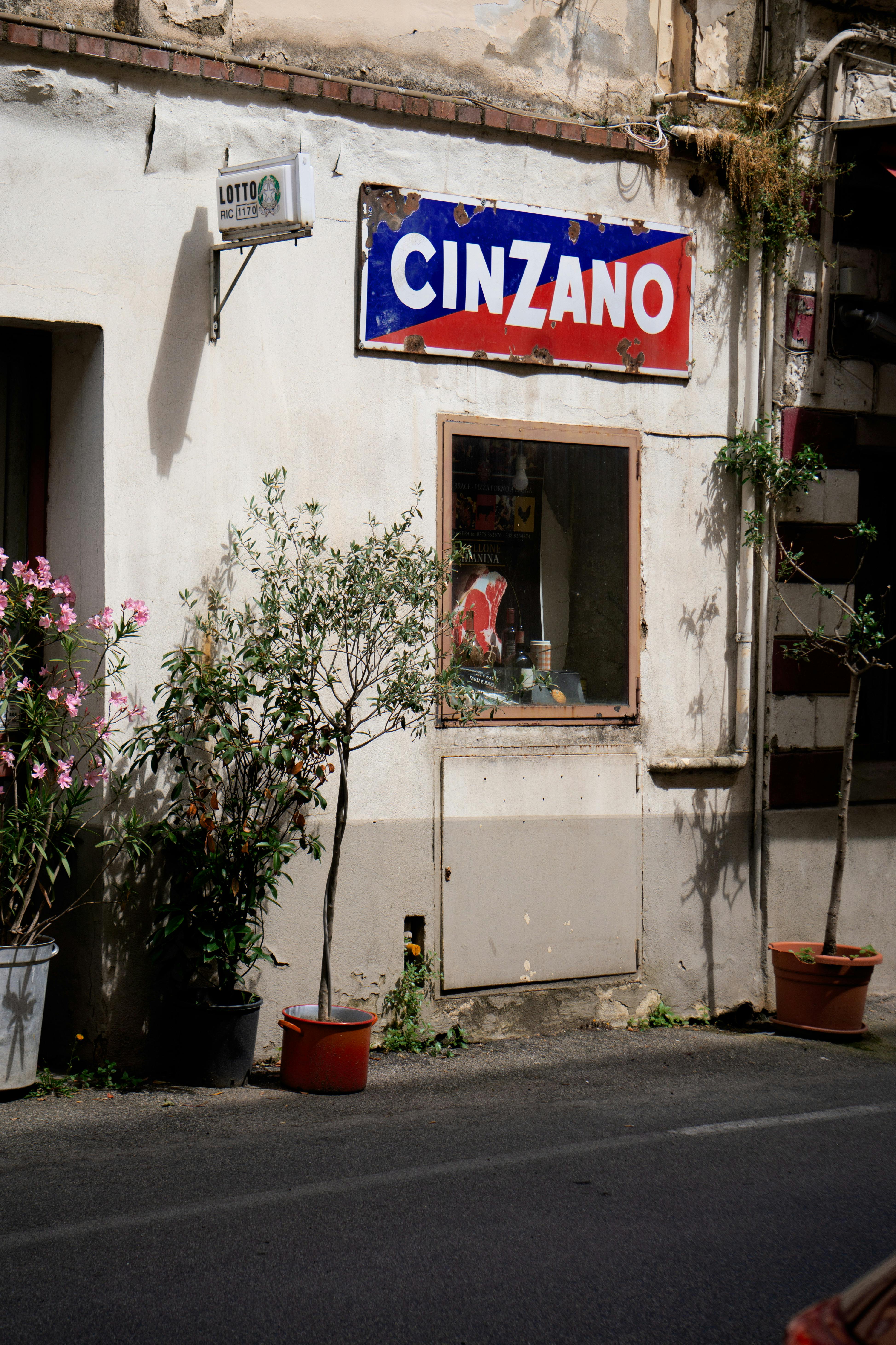 Charming urban street corner with vintage 'Cinzano' sign, plants, and window display.