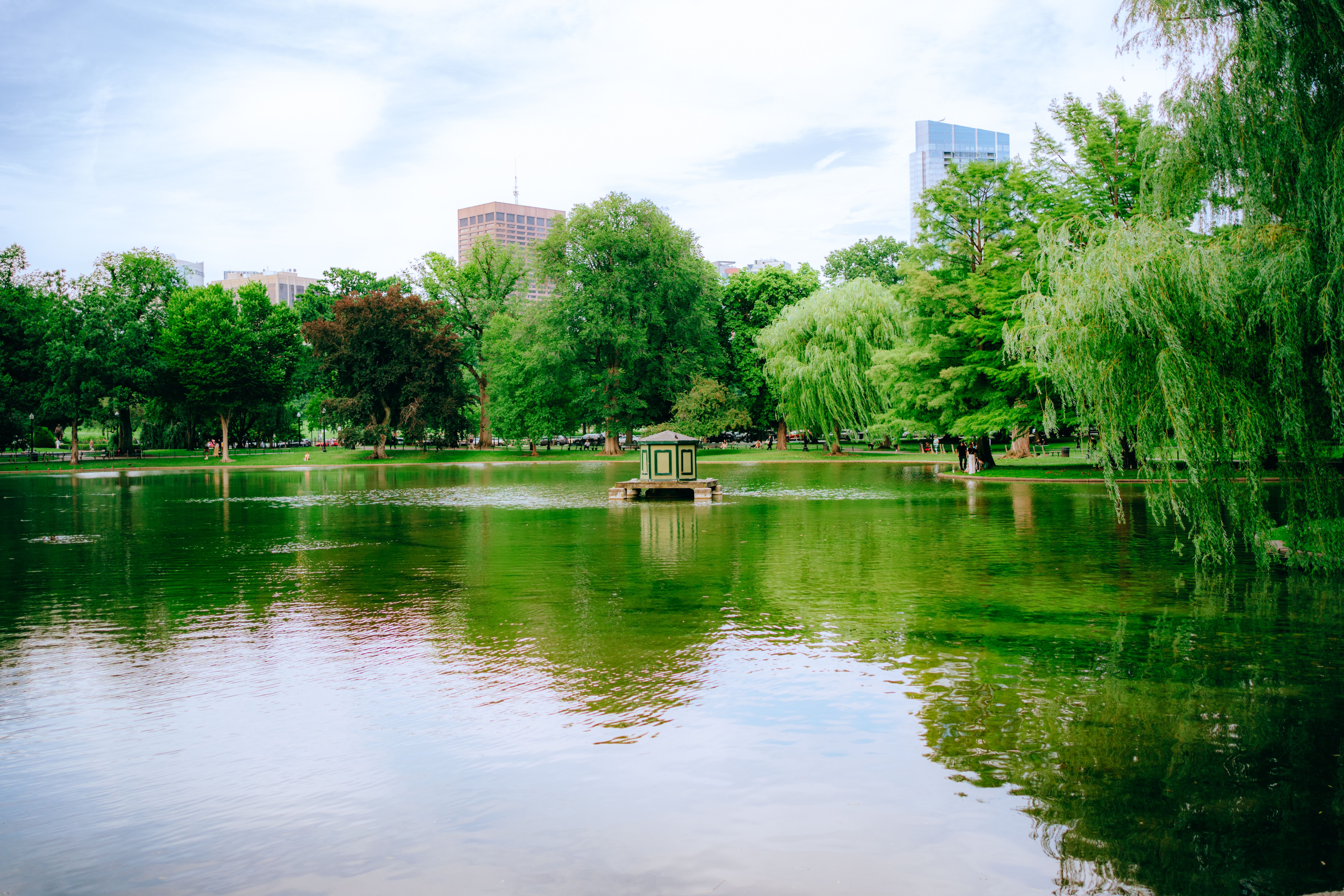 Gratis lagerfoto af afslappende, almindelige, boston Lagerfoto
