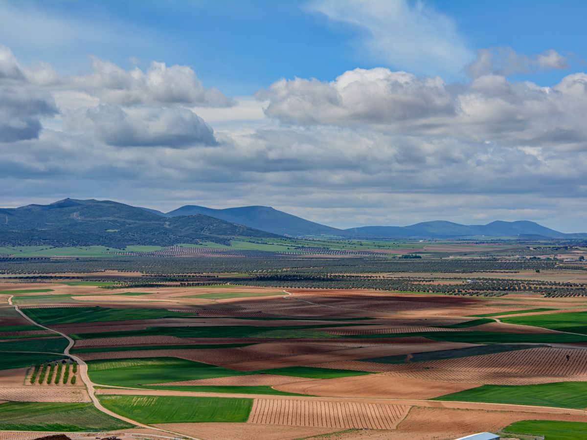 22 Day 300-Hr Ayurveda, Ashtanga, and Yin Yoga TTC in Spain 2