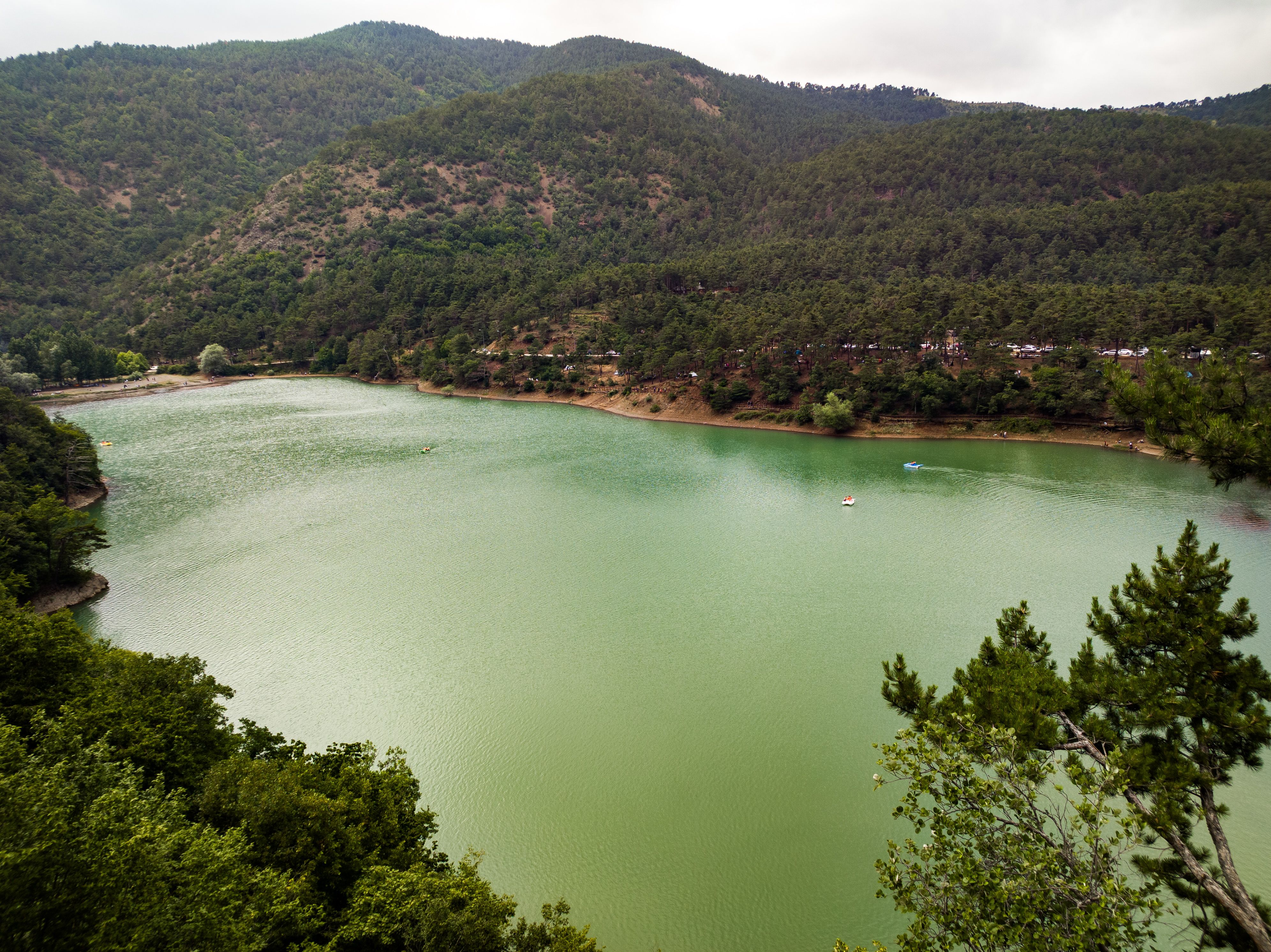 Bord du Lac de Villerest à Villerest avec un panneau de vigilance, illustrant l'alerte aux cyanobactéries dangereuses pour les chiens.