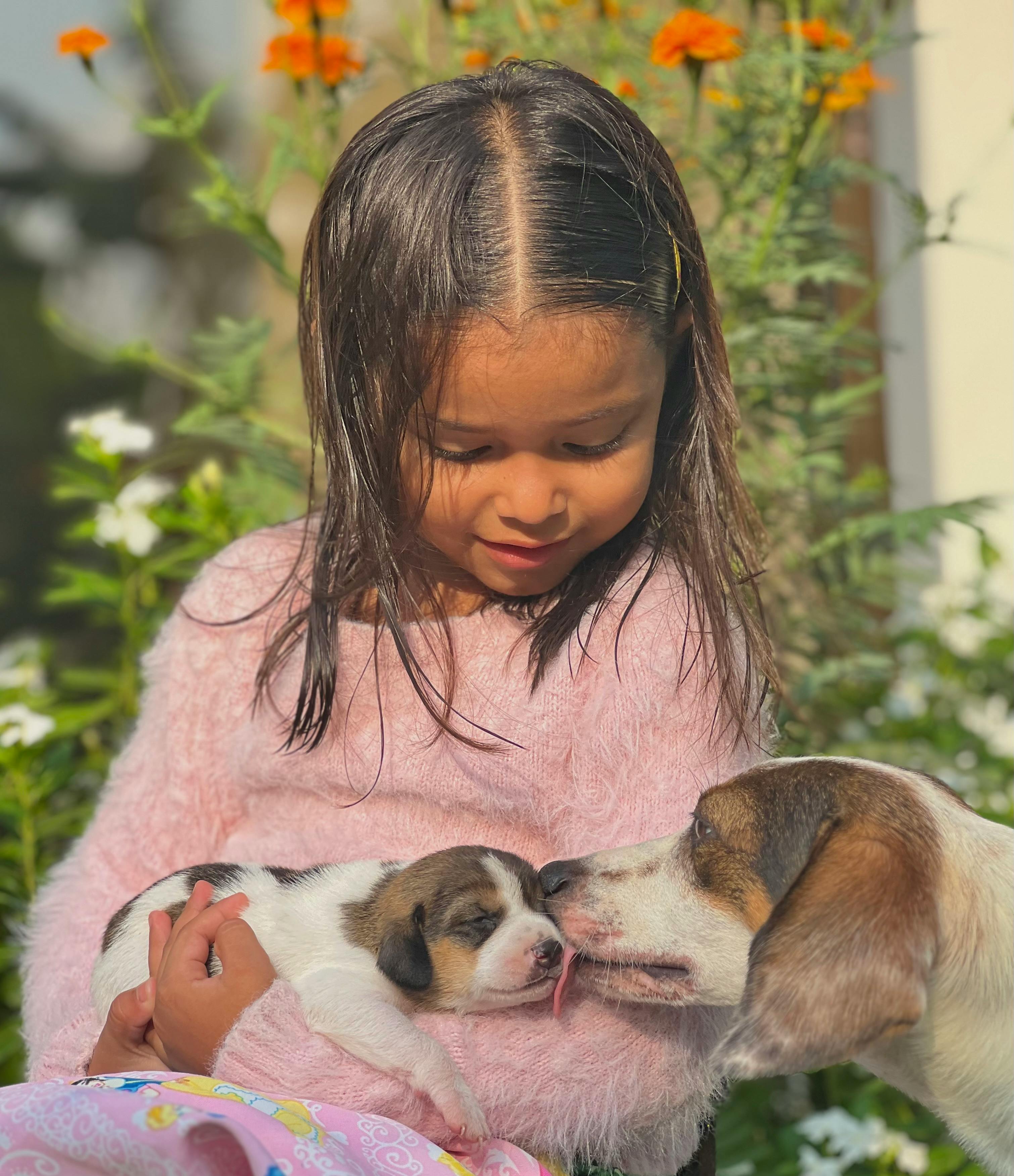 A woman holding a puppy and two other dogs