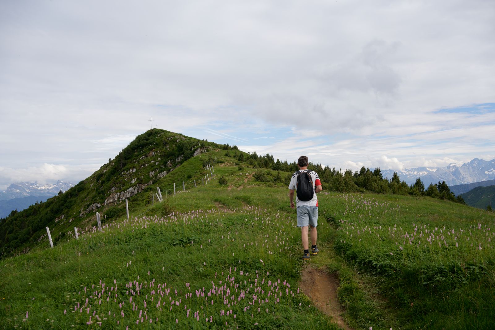 Lone hiker on a green mountain trail