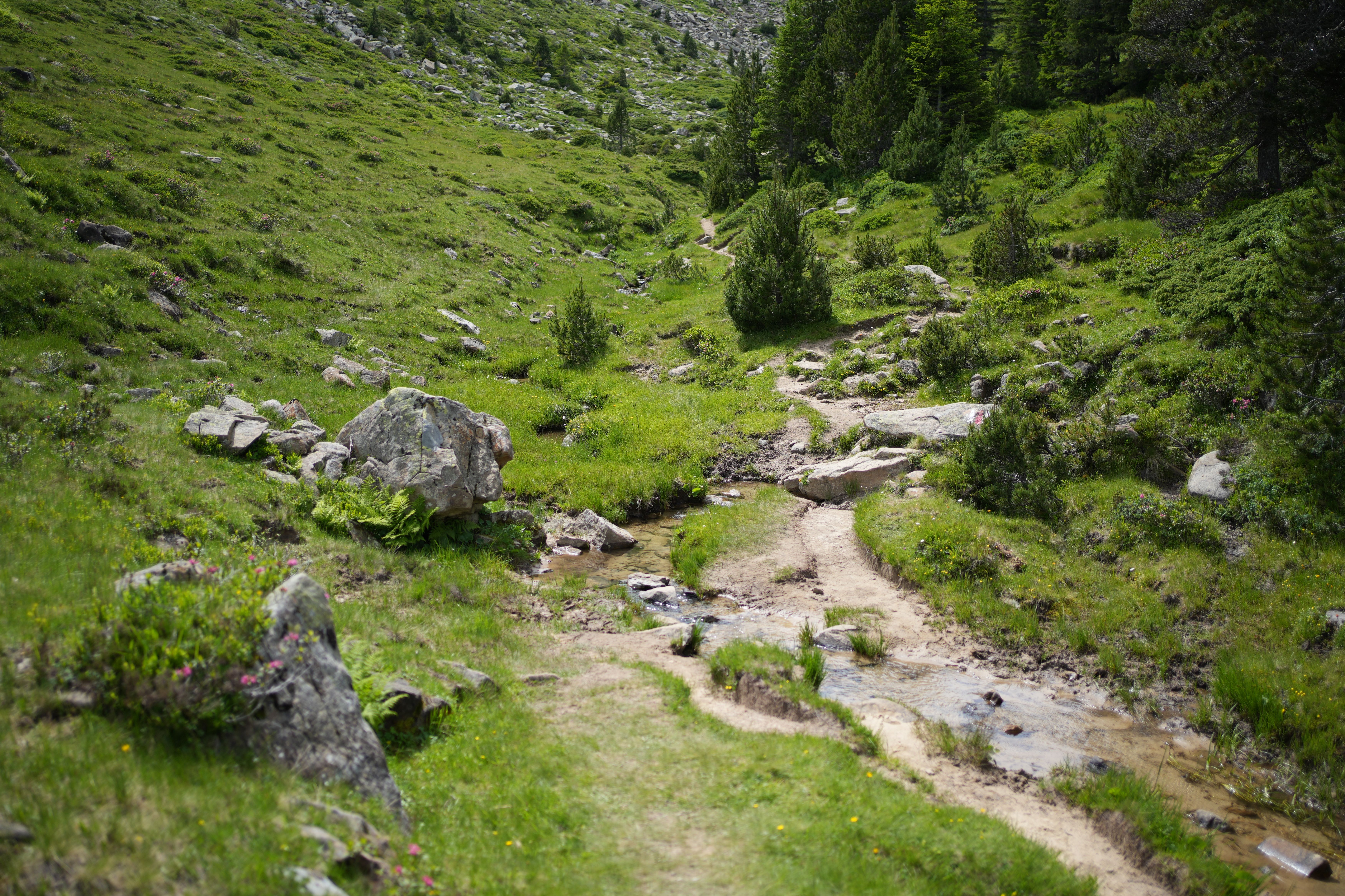 Auvézère River Valley Trails