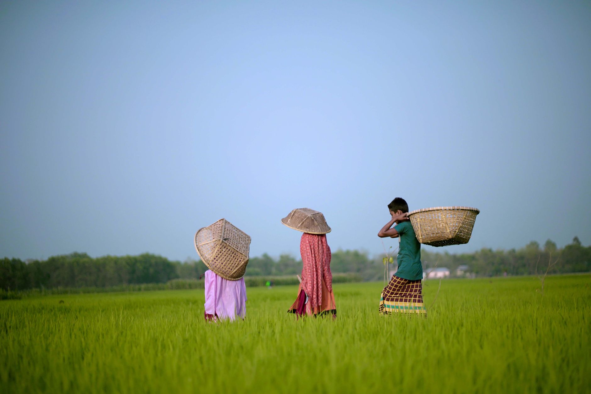 Cân bằng công việc và cuộc sống giúp duy trì sức khỏe tinh thần và hiệu suất