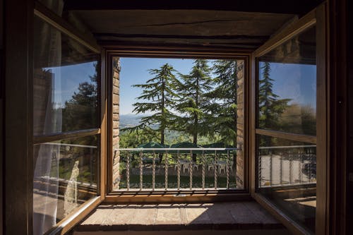 Deux Pins à L'extérieur De La Maison