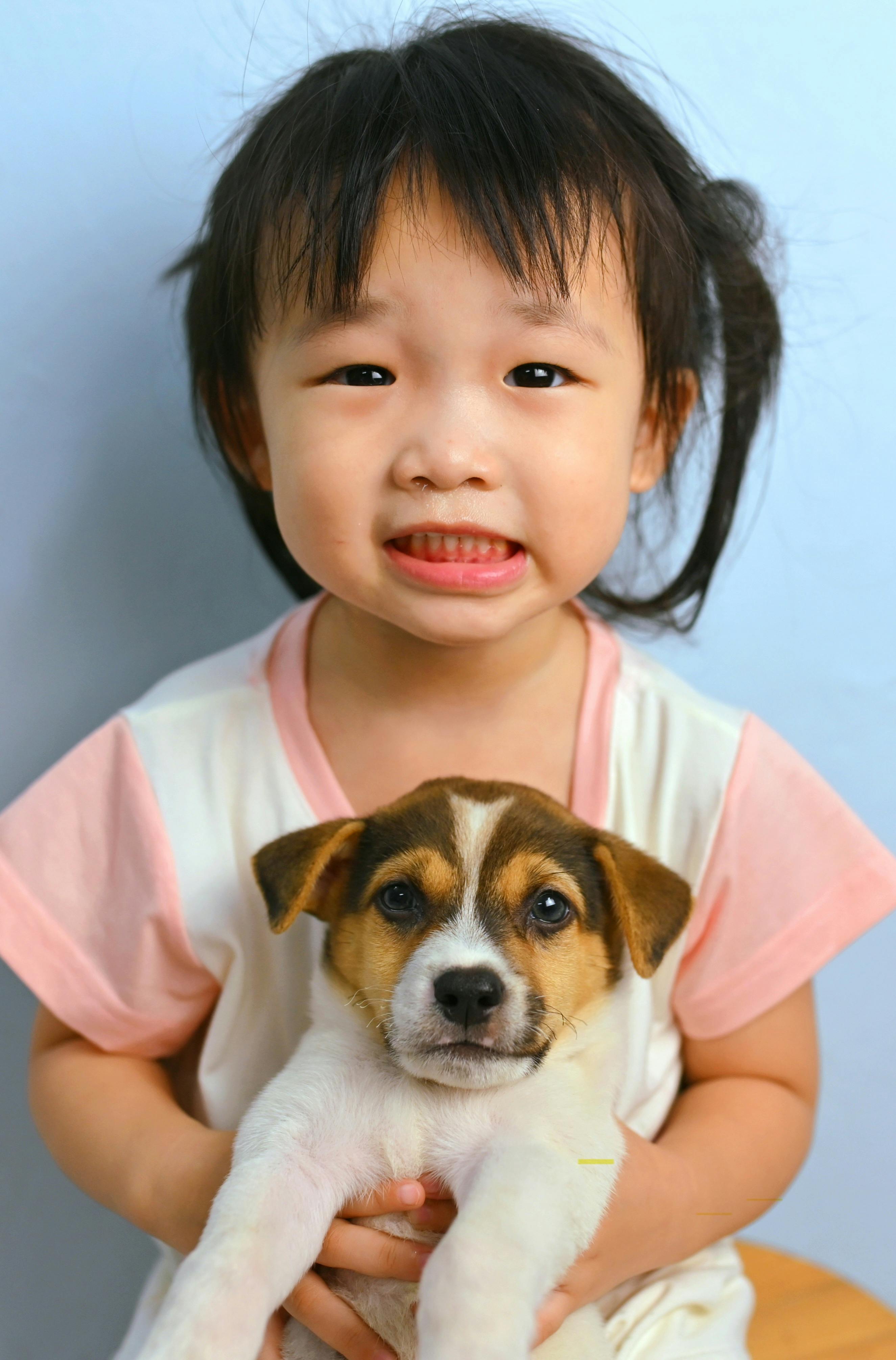 A little girl holding a small puppy