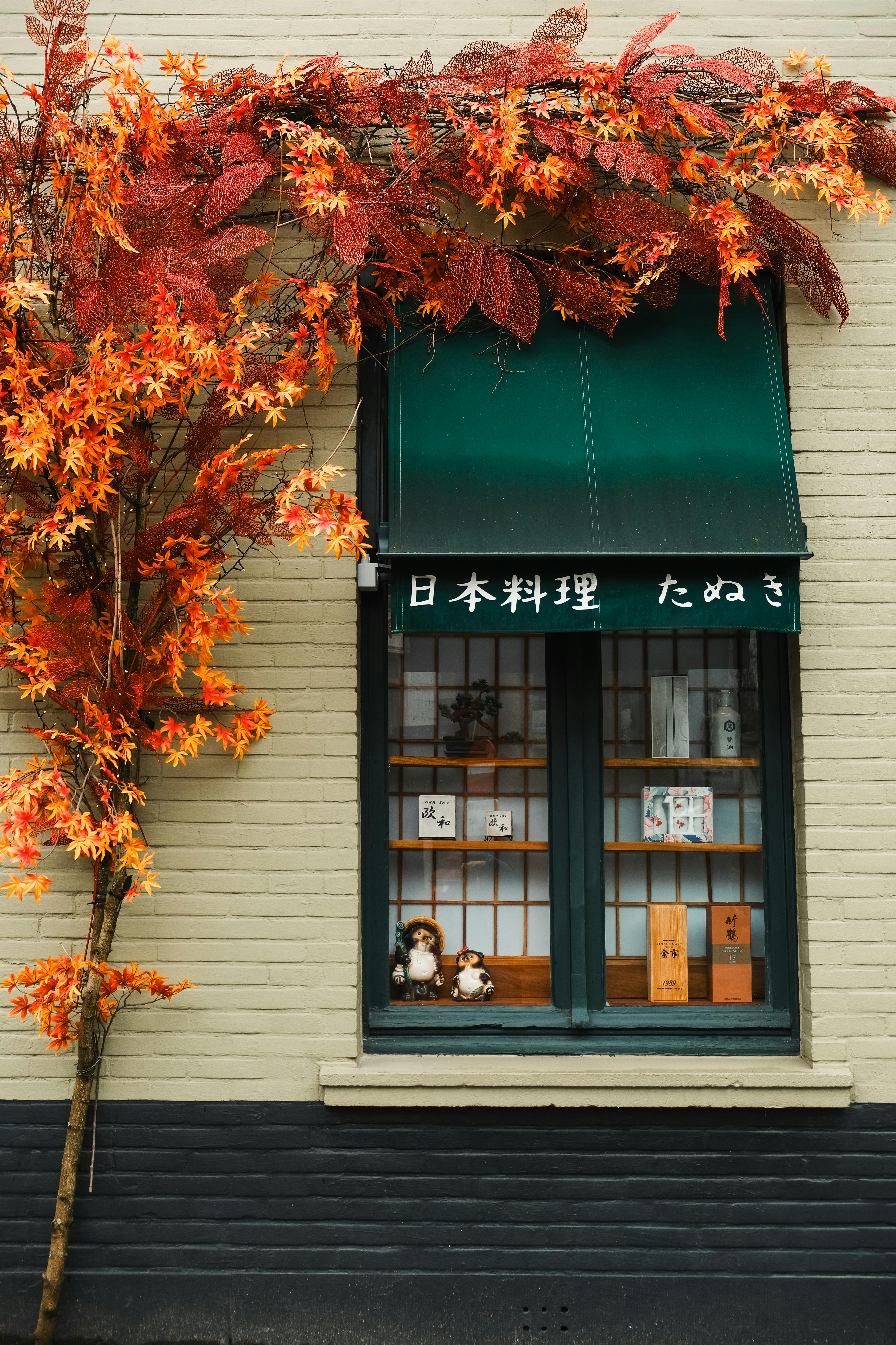 orange ivy on a building