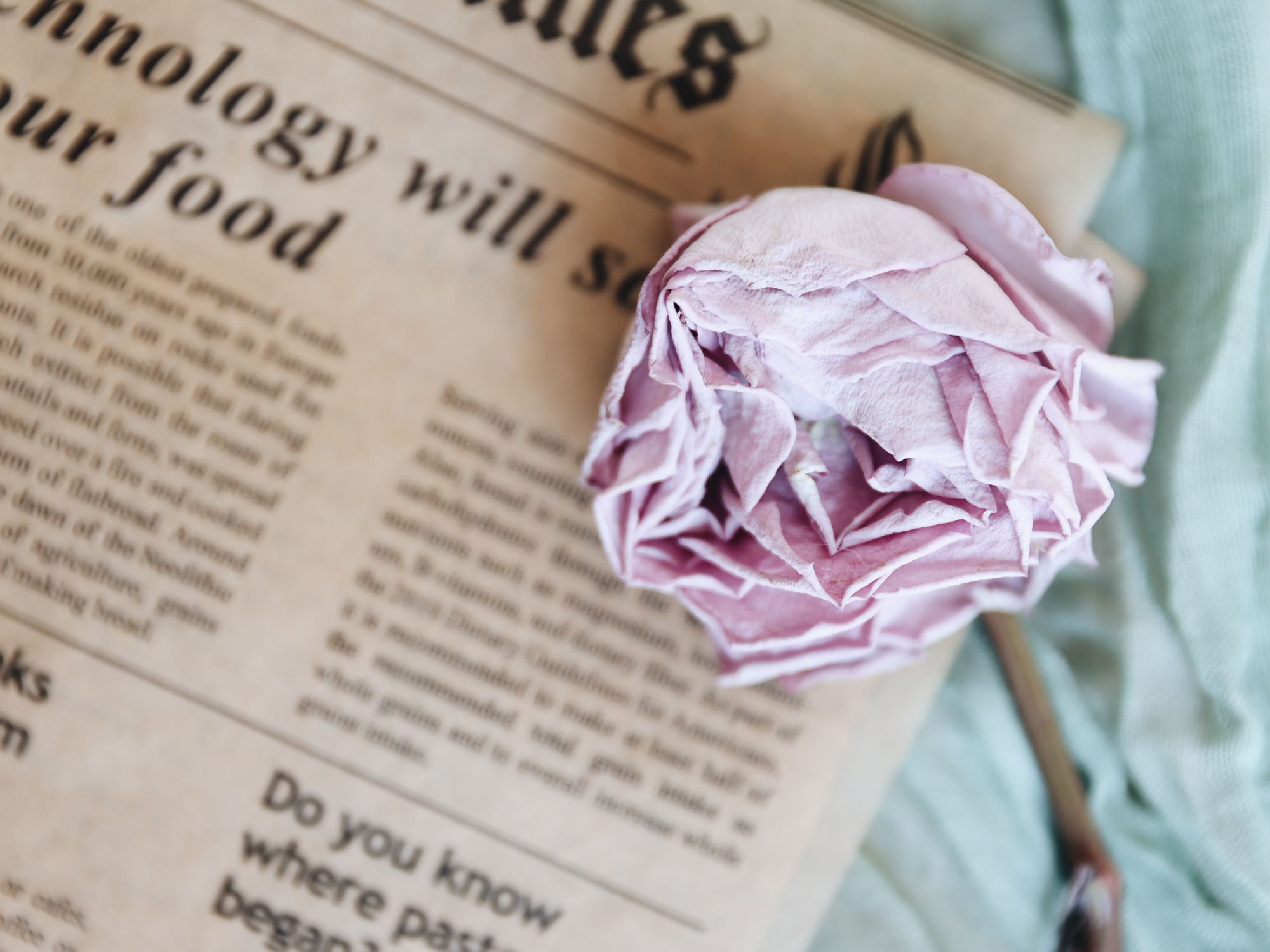 Packing Services in Bathgate, Scotland — professional packer wrapping fragile items in a box