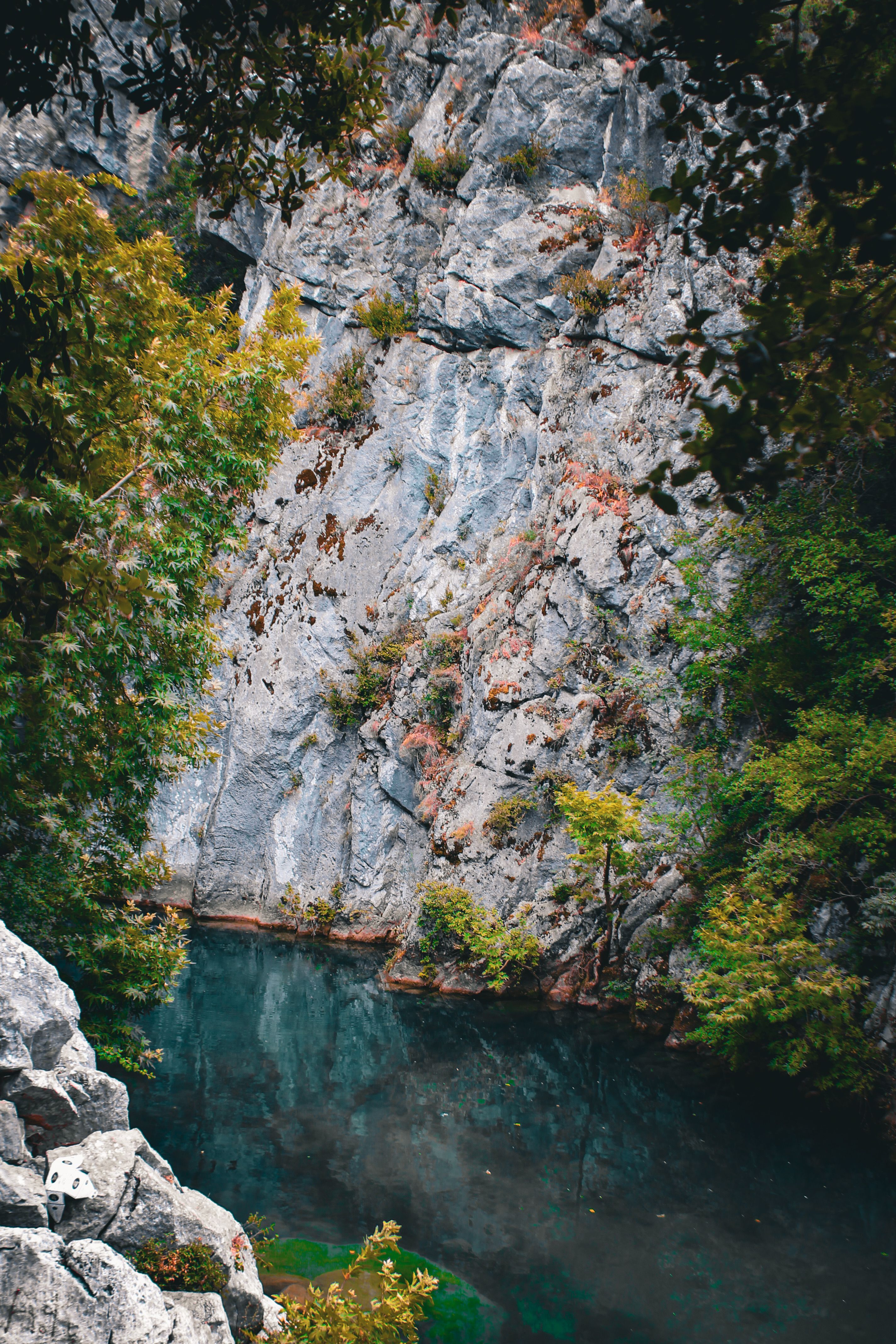 A river is surrounded by rocks and trees · Free Stock Photo