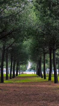 Image by Erdi İrbit