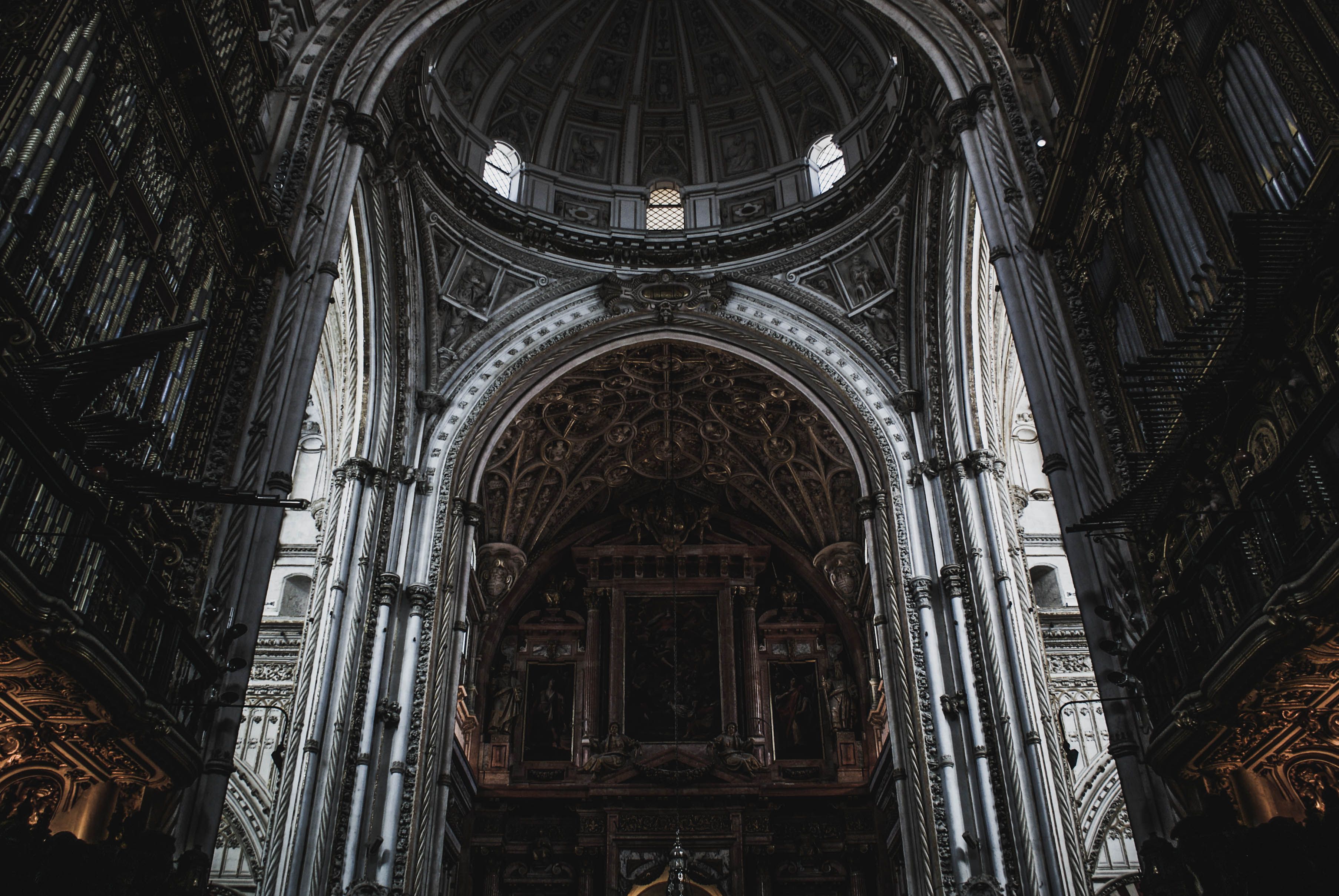 Preview 1 — photo by JuanMa on Pexels