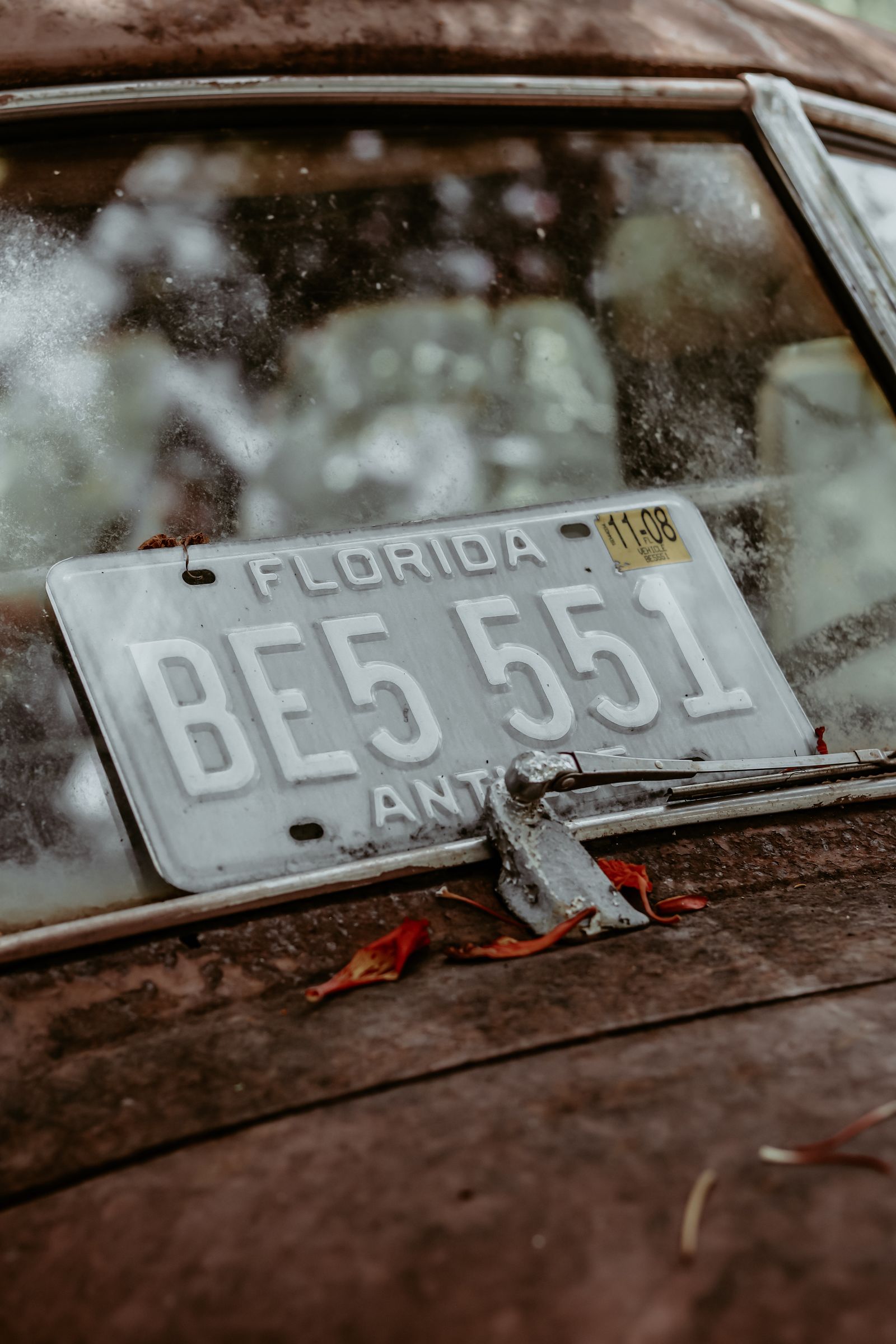 Smart card status check Punjab - close-up of a vehicle license plate