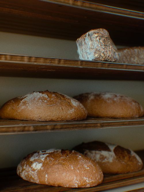 Free Assorted artisan breads displayed on wooden shelves in a bakery setting. Stock Photo