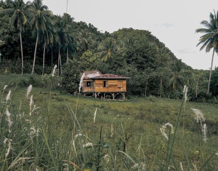 Photo of Wooden House Near Trees