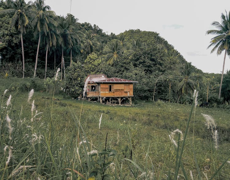 Photo Of Wooden House Near Trees