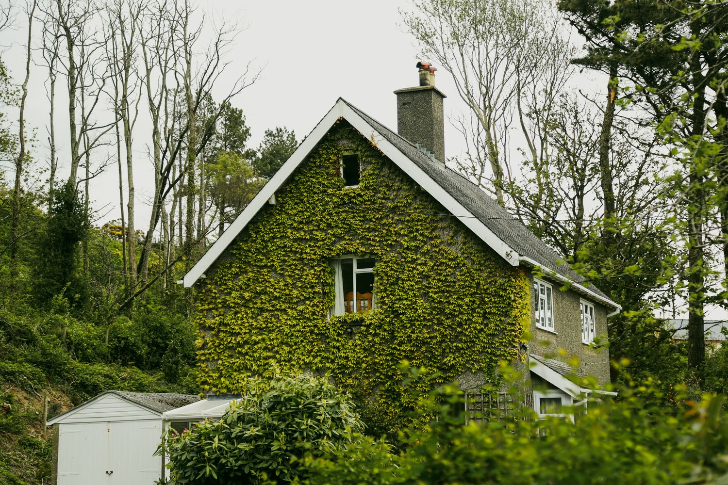 UK Rental Rates Climb, But Autumn Occupancy Is Slipping