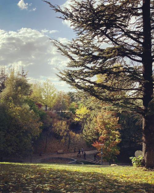 Free A serene autumn landscape in Ankara, showcasing vibrant fall foliage and a tranquil walkway. Stock Photo