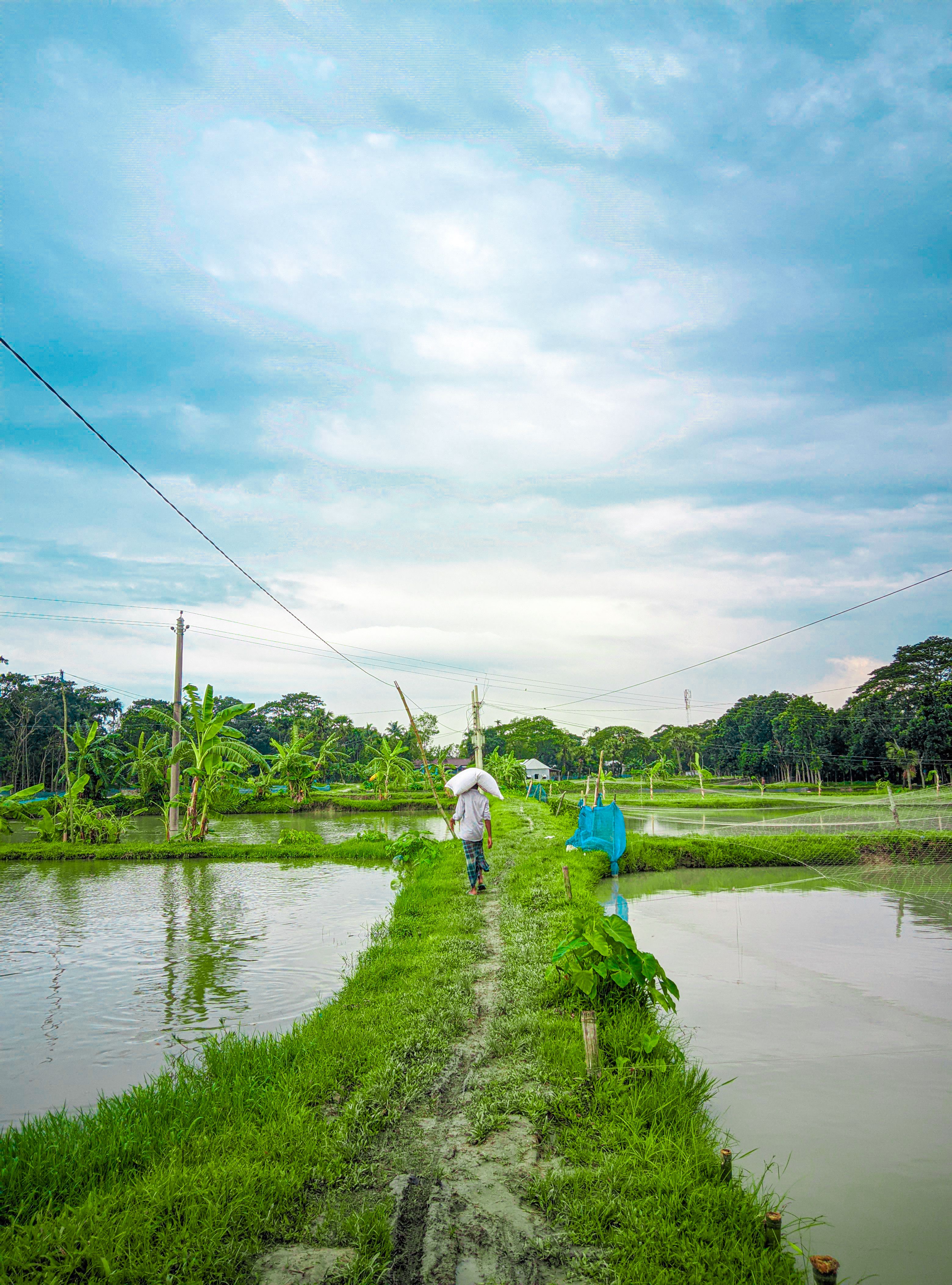 Fish Farming in Tropical Scenery · Free Stock Photo