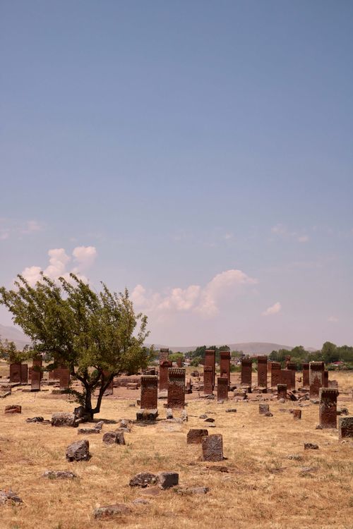 Free Explore the ancient stone structures of a historic cemetery in Ahlat, Türkiye, with scattered trees and clear skies. Stock Photo
