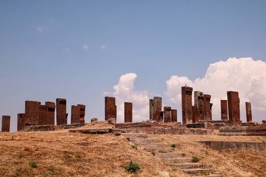 Palmyra, Syria photo 20