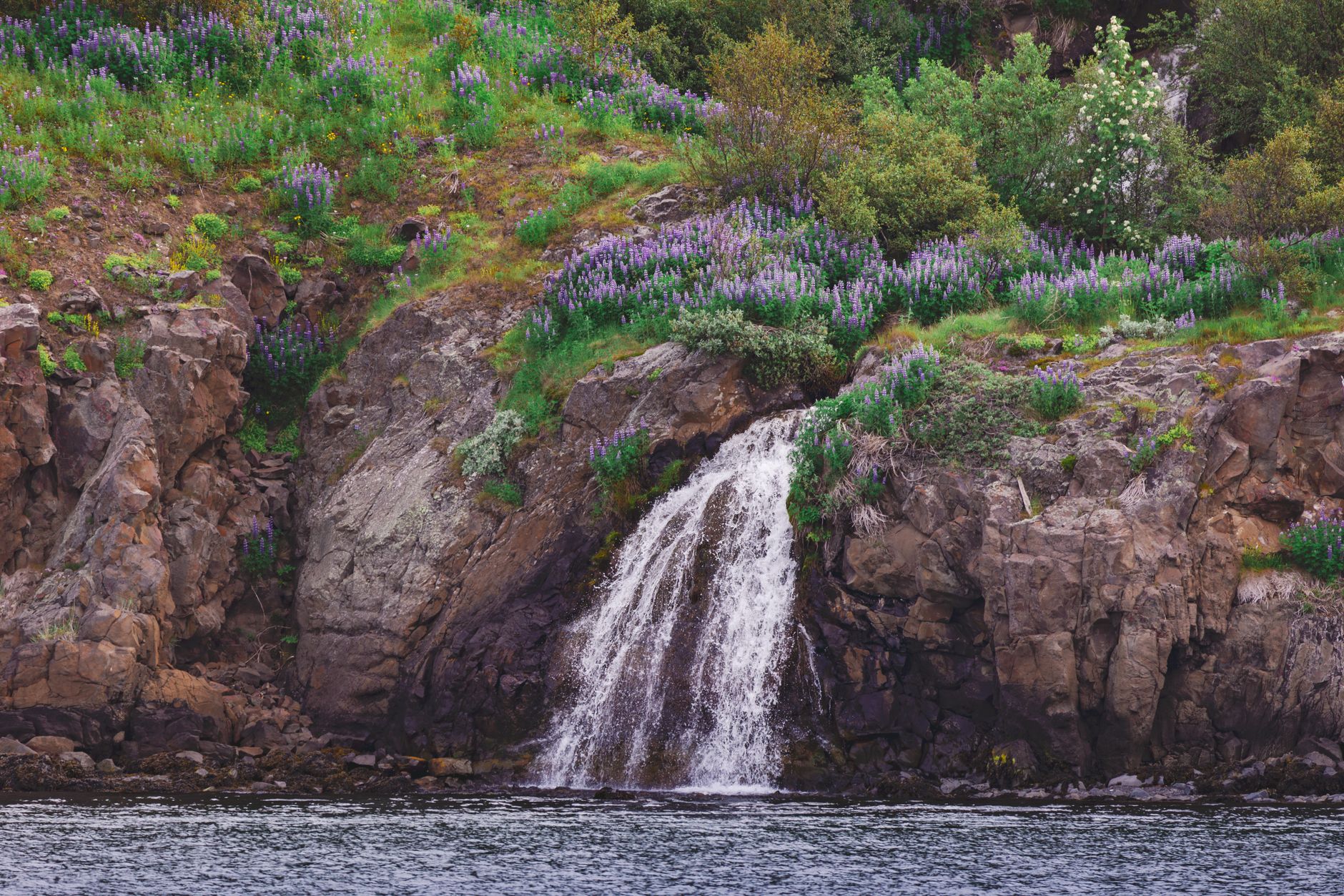 Serene waterfall surrounded by lush greenery and wildflowers in Akureyri, Iceland.